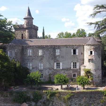 Le Chateau De Cambiaire Saint-Etienne-Vallee-Francaise Екстер'єр фото