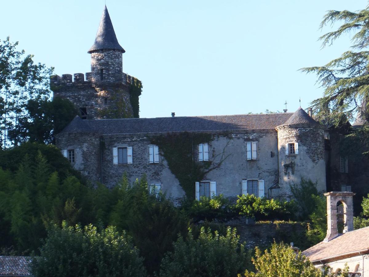 Le Chateau De Cambiaire Saint-Etienne-Vallee-Francaise Екстер'єр фото