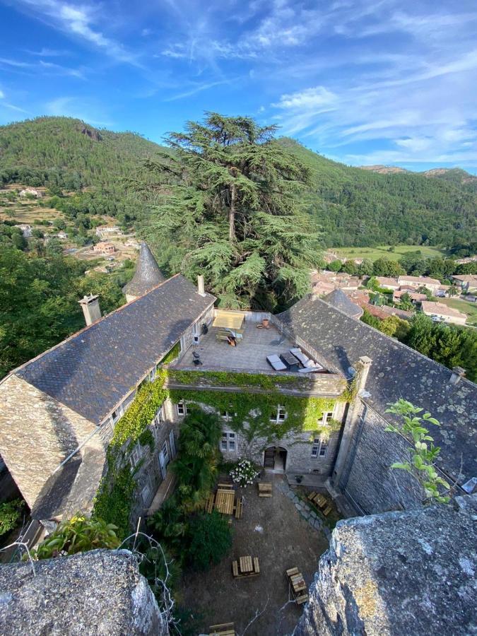 Le Chateau De Cambiaire Saint-Etienne-Vallee-Francaise Екстер'єр фото