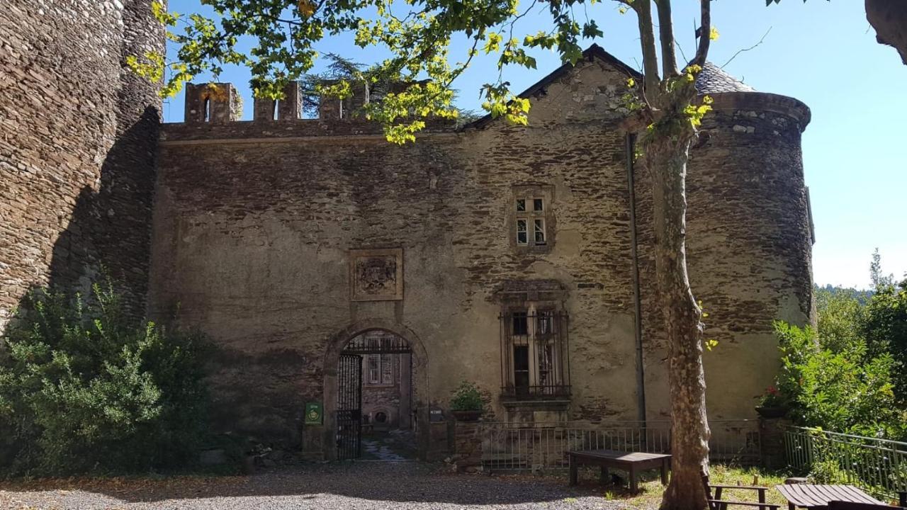 Le Chateau De Cambiaire Saint-Etienne-Vallee-Francaise Екстер'єр фото